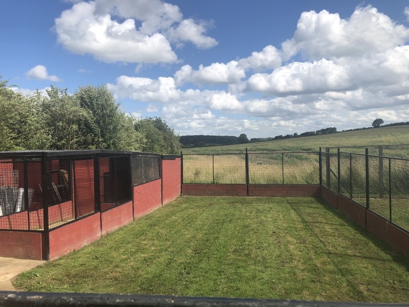 The Foxholes Boarding Kennels and Cattery